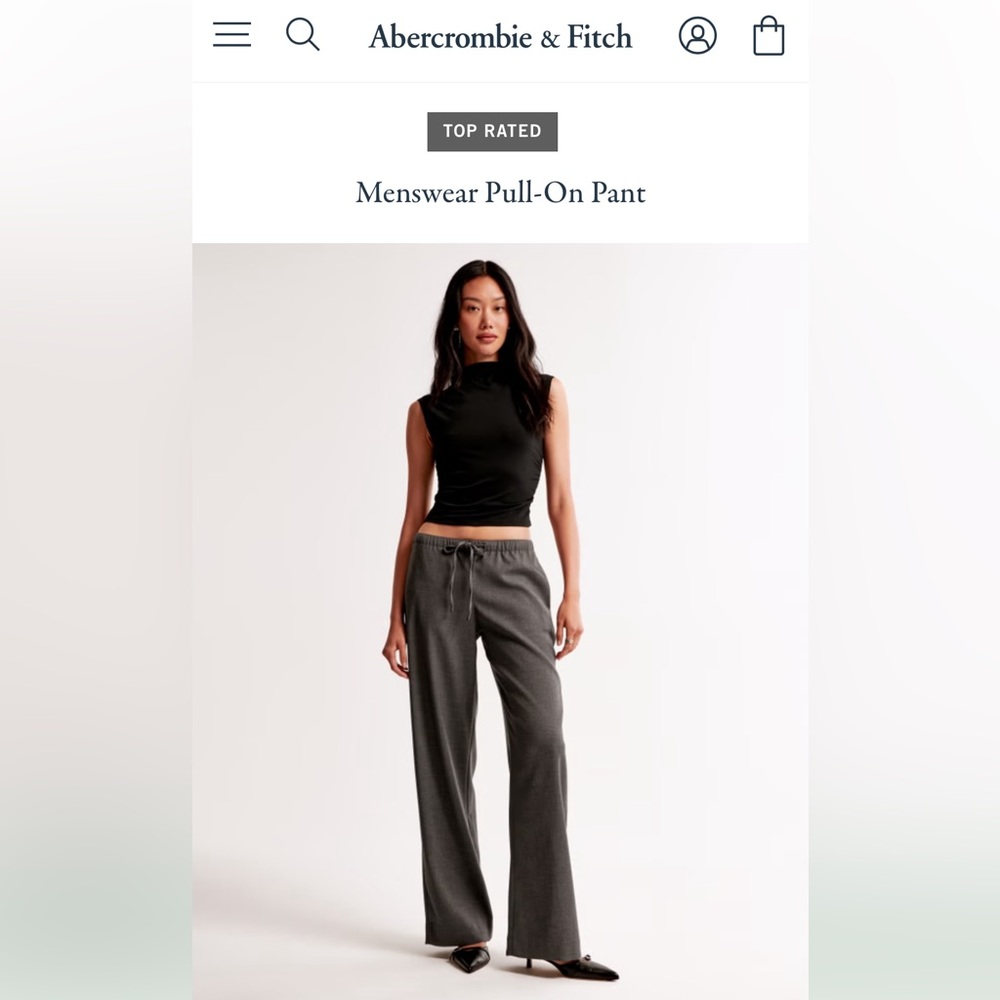 Abercrombie NWT Wide Leg Pinstripe Drawstring Pants Charcoal Gray Striped - Picture 3 of 7